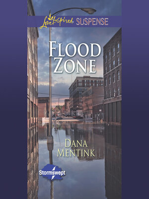 cover image of Flood Zone